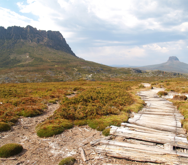 Hike / Trek / Mountain Leader 