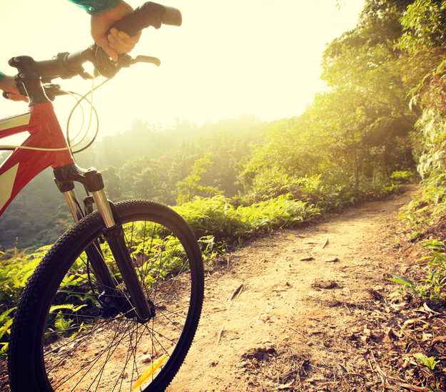 Mountain Biking