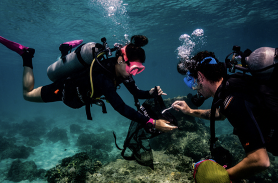 How To Participate in a Dive Against Debri